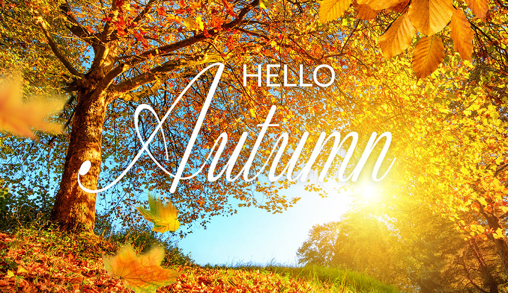 Hello Autumn